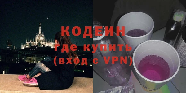 индика Нижний Тагил