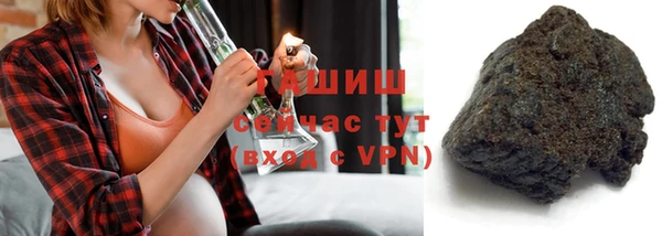 индика Нижний Тагил
