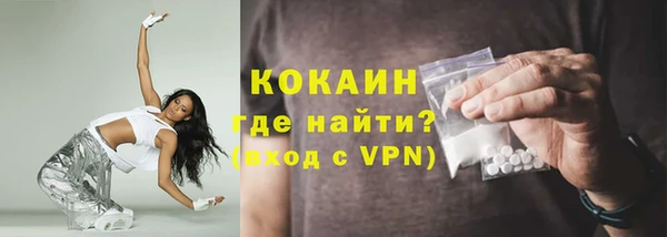 прущие грибы Козельск