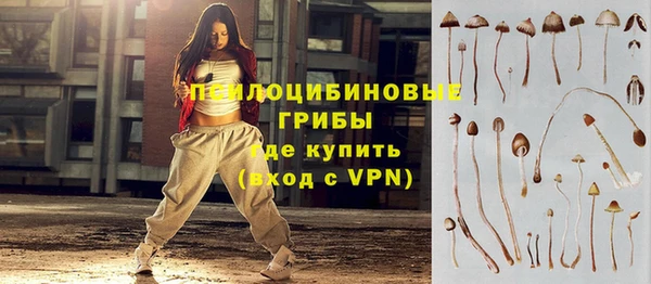 ПСИЛОЦИБИНОВЫЕ ГРИБЫ Козловка