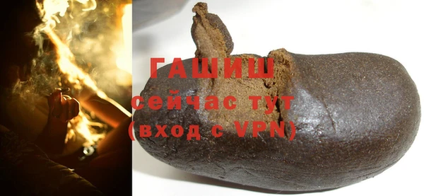 гидра Надым
