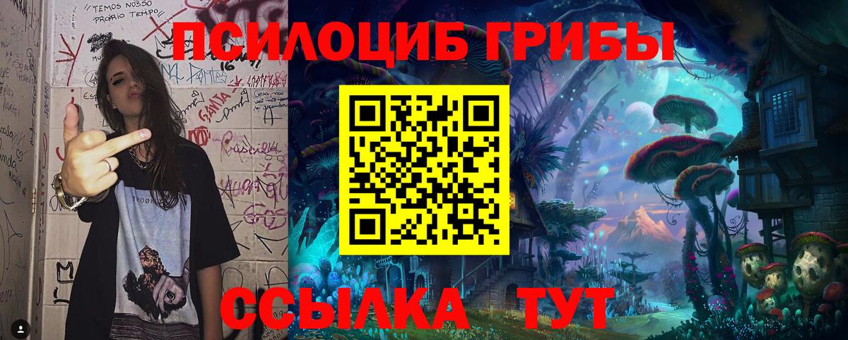 Галлюциногенные грибы Cubensis  продажа наркотиков  Димитровград  Вход с VPN 