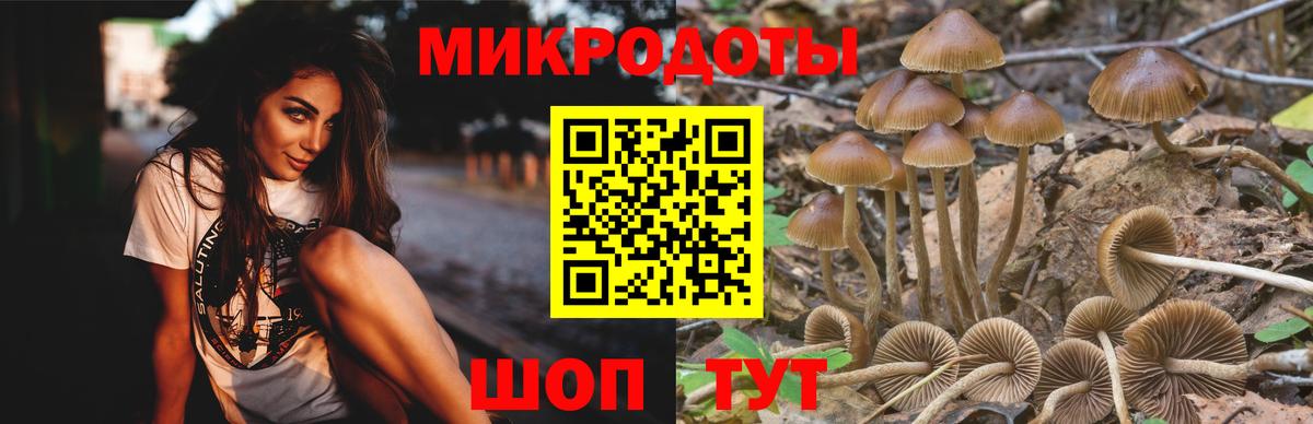 Псилоцибиновые грибы прущие грибы Димитровград