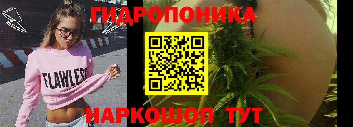 Бошки марихуана Amnesia  Димитровград  Марихуана Ganja  Бошки марихуана гибрид 